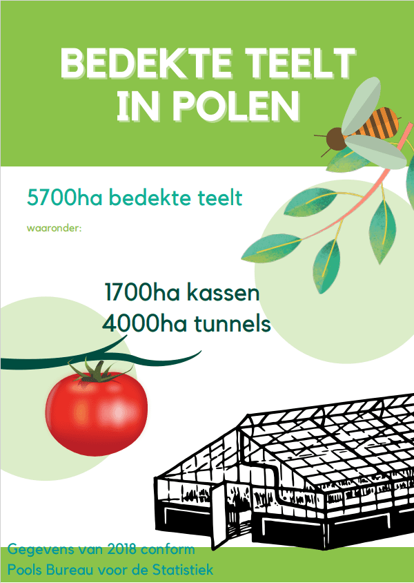 Grote Poolse tuinders investeren in duurzame energie | Agroberichten Buitenland Grote Poolse tuinders investeren in duurzame energie | Agroberichten Buitenland
