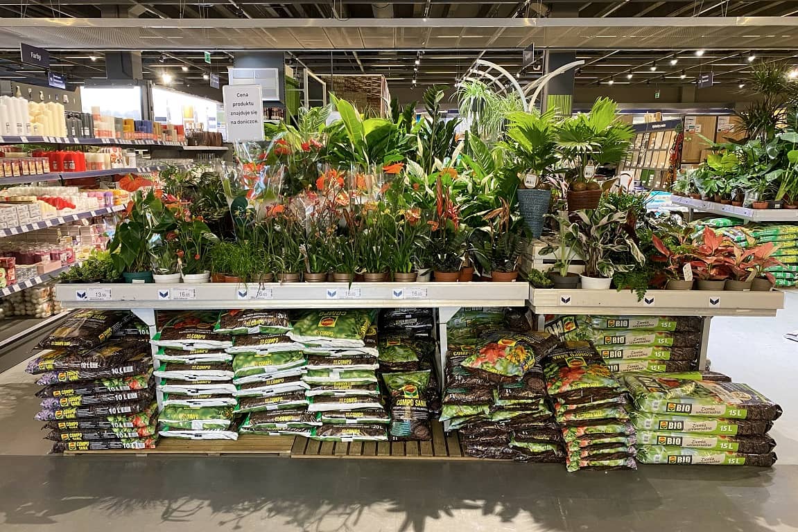display with plants in a retail market