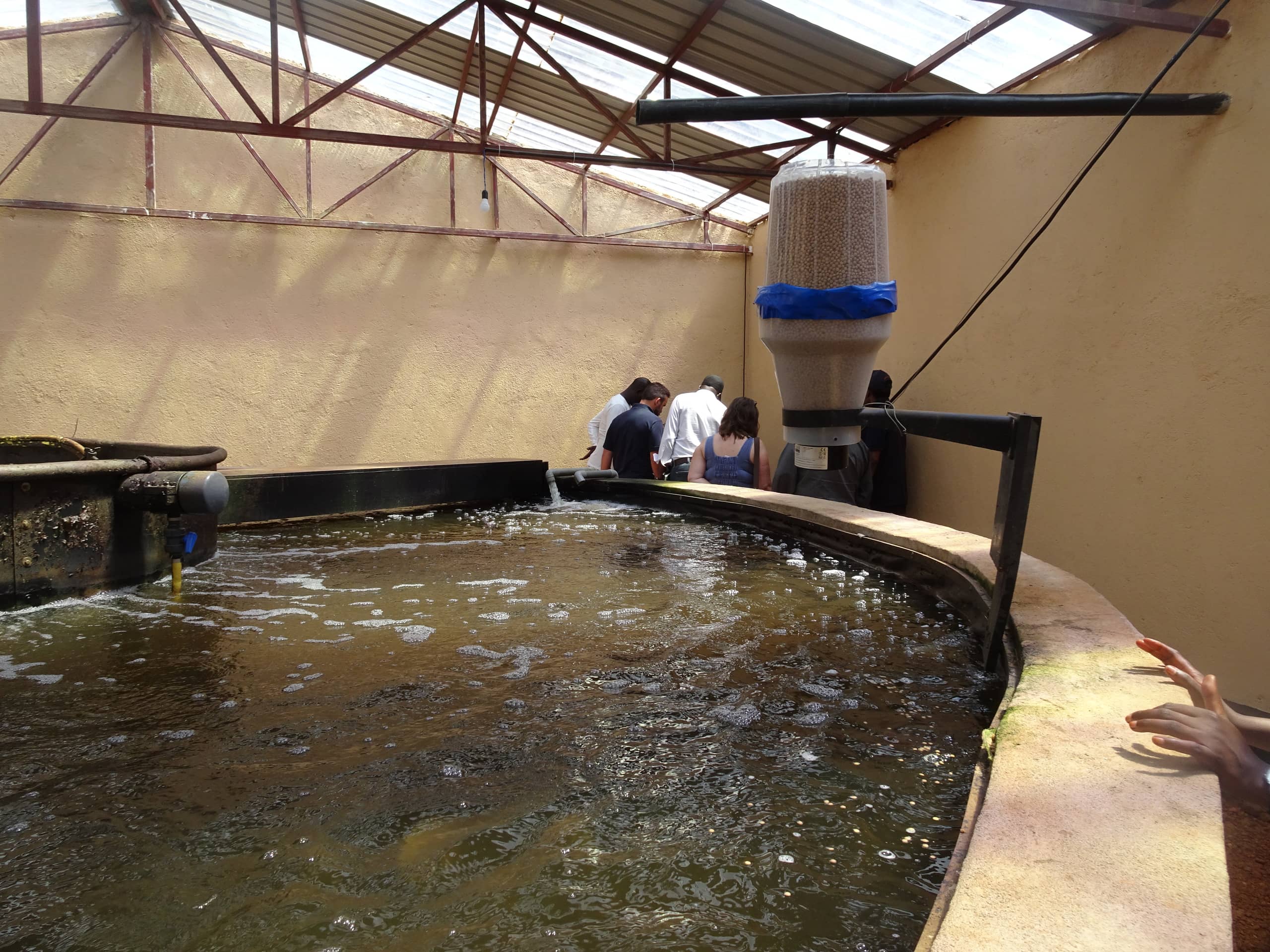 Lakeside fish farm 2