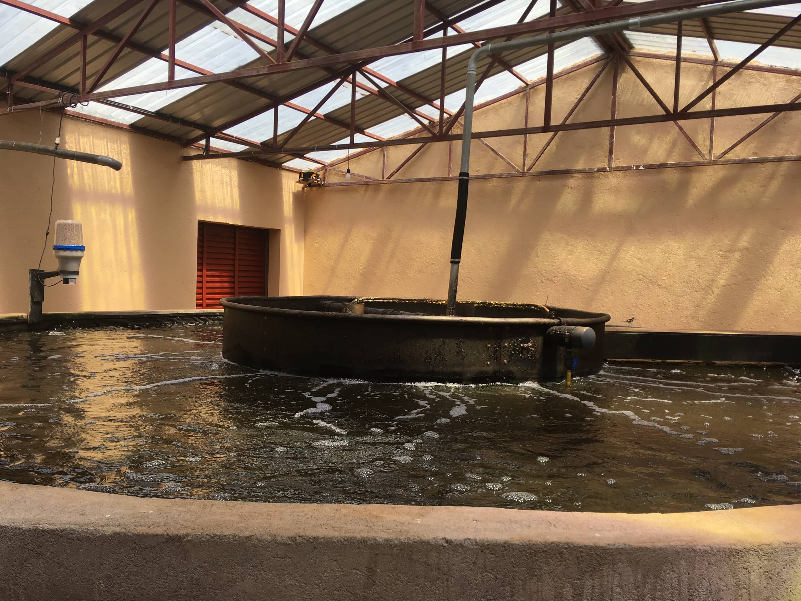 Lakeside fish farm 1