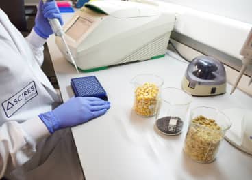 Laboratorium