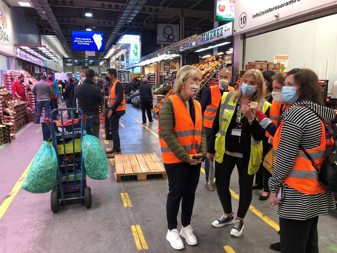 Bezoek NL delegatie MercaMadrid