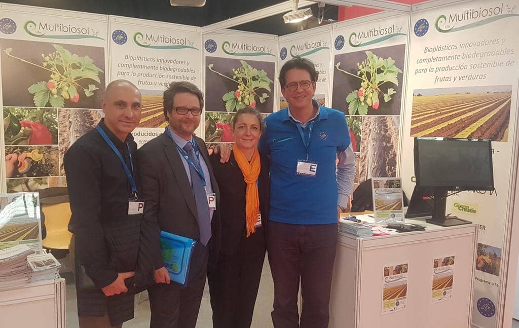 Transfer Consultancy