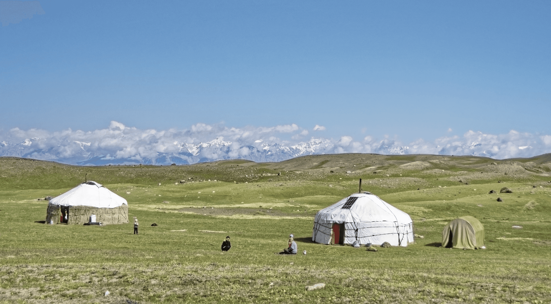 two yurts in grass field