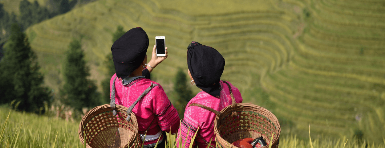 women on rice fields holding phone