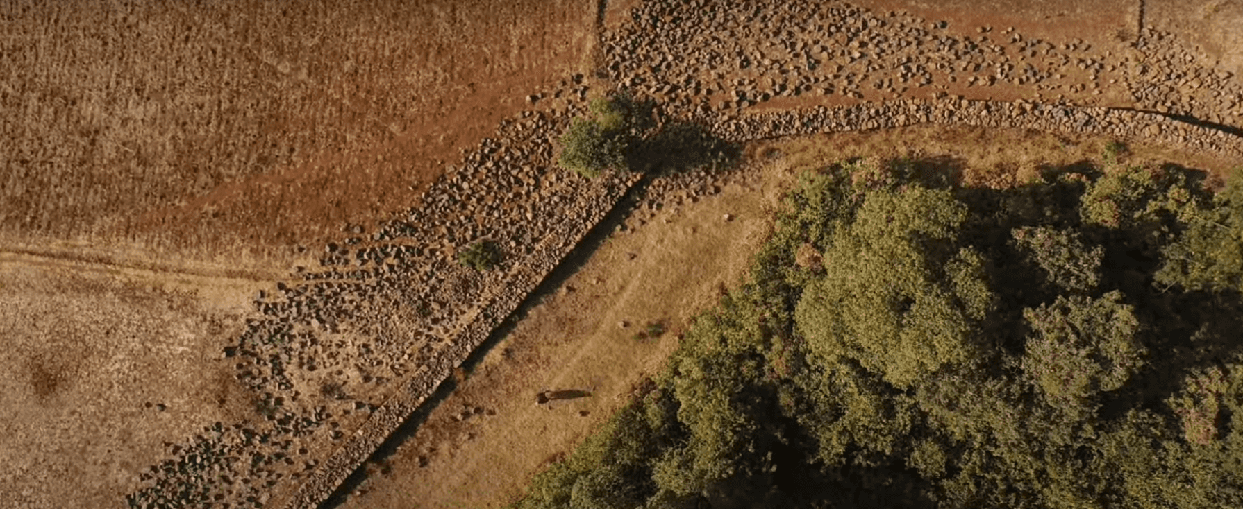 Stone build fence to protect the church forests