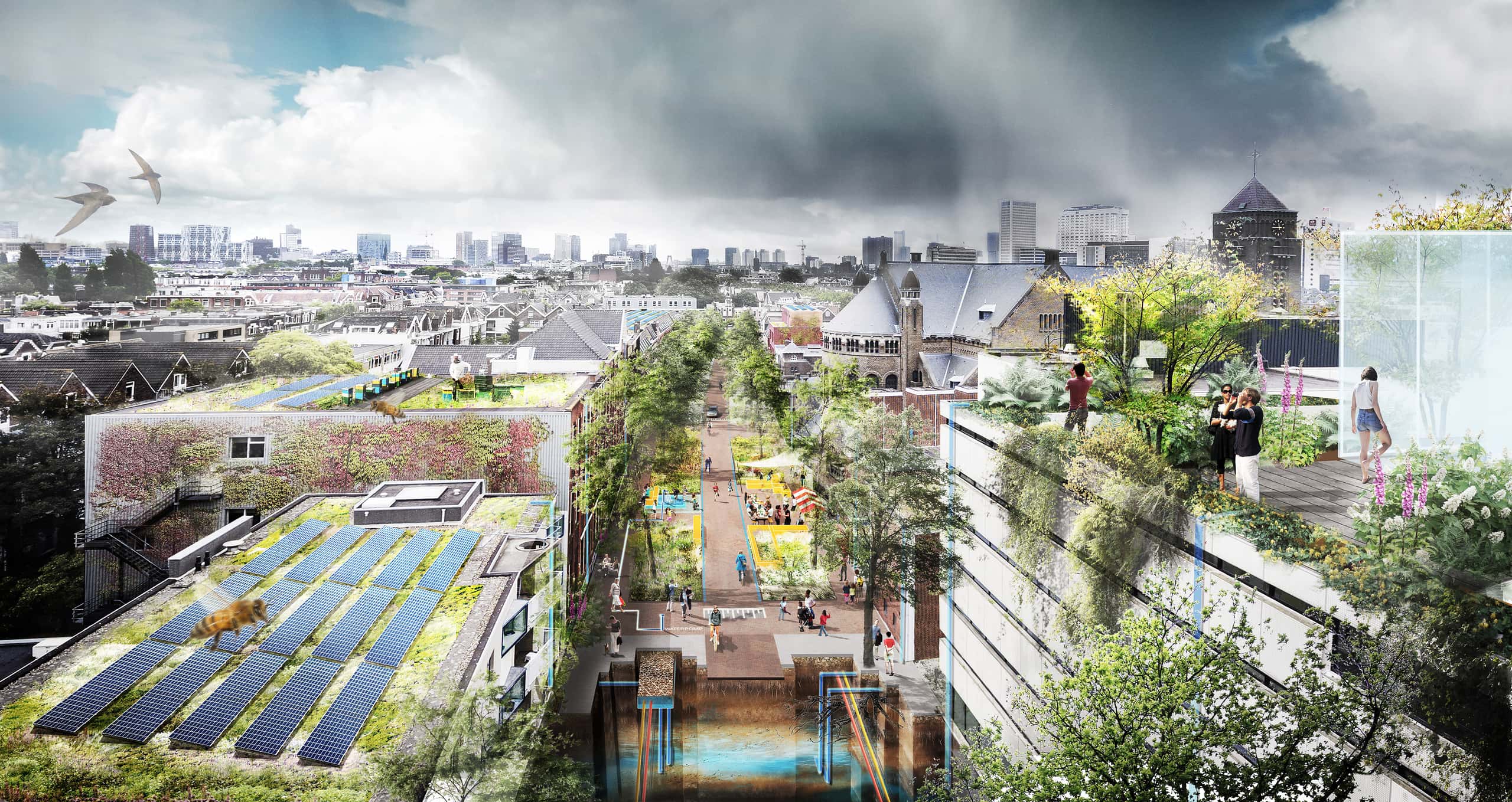 Reconstruction of city with nature