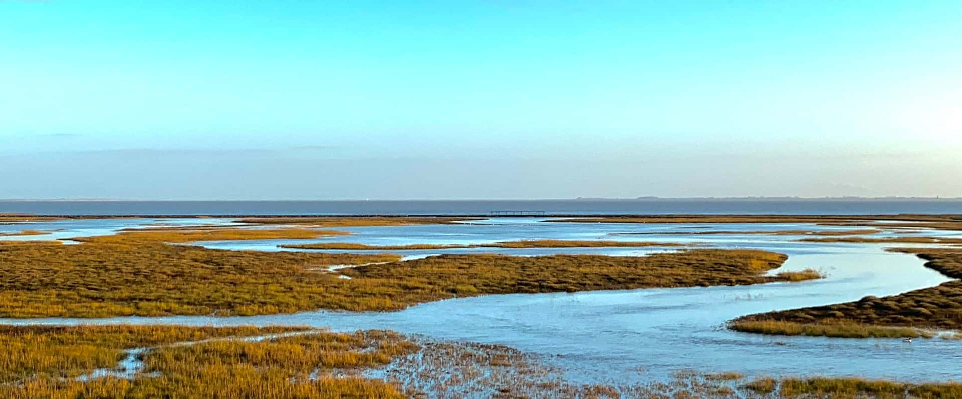 Landscape photo of body of water with plants growing