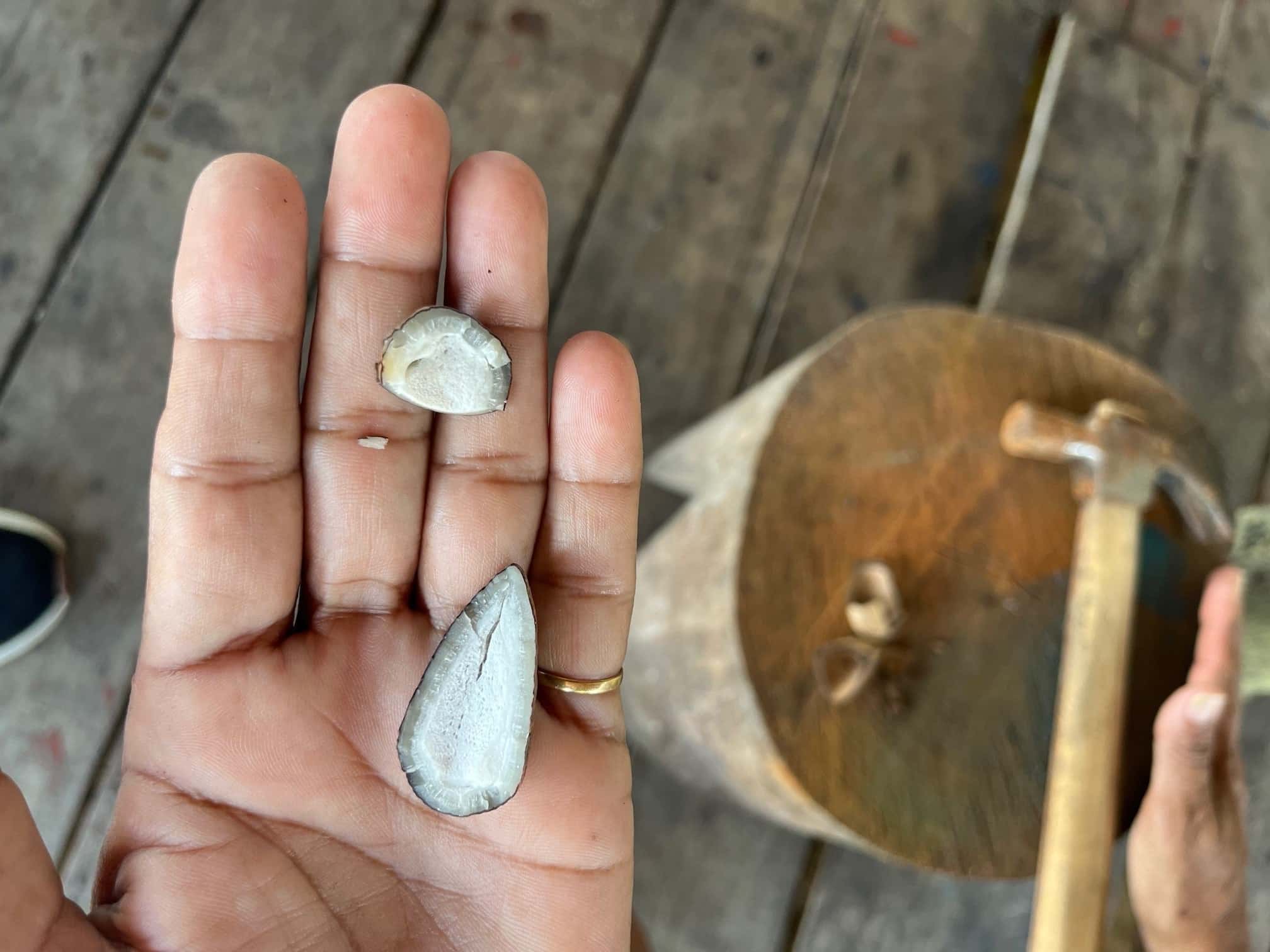 An open tonka bean from Joel Santos’ managed forest