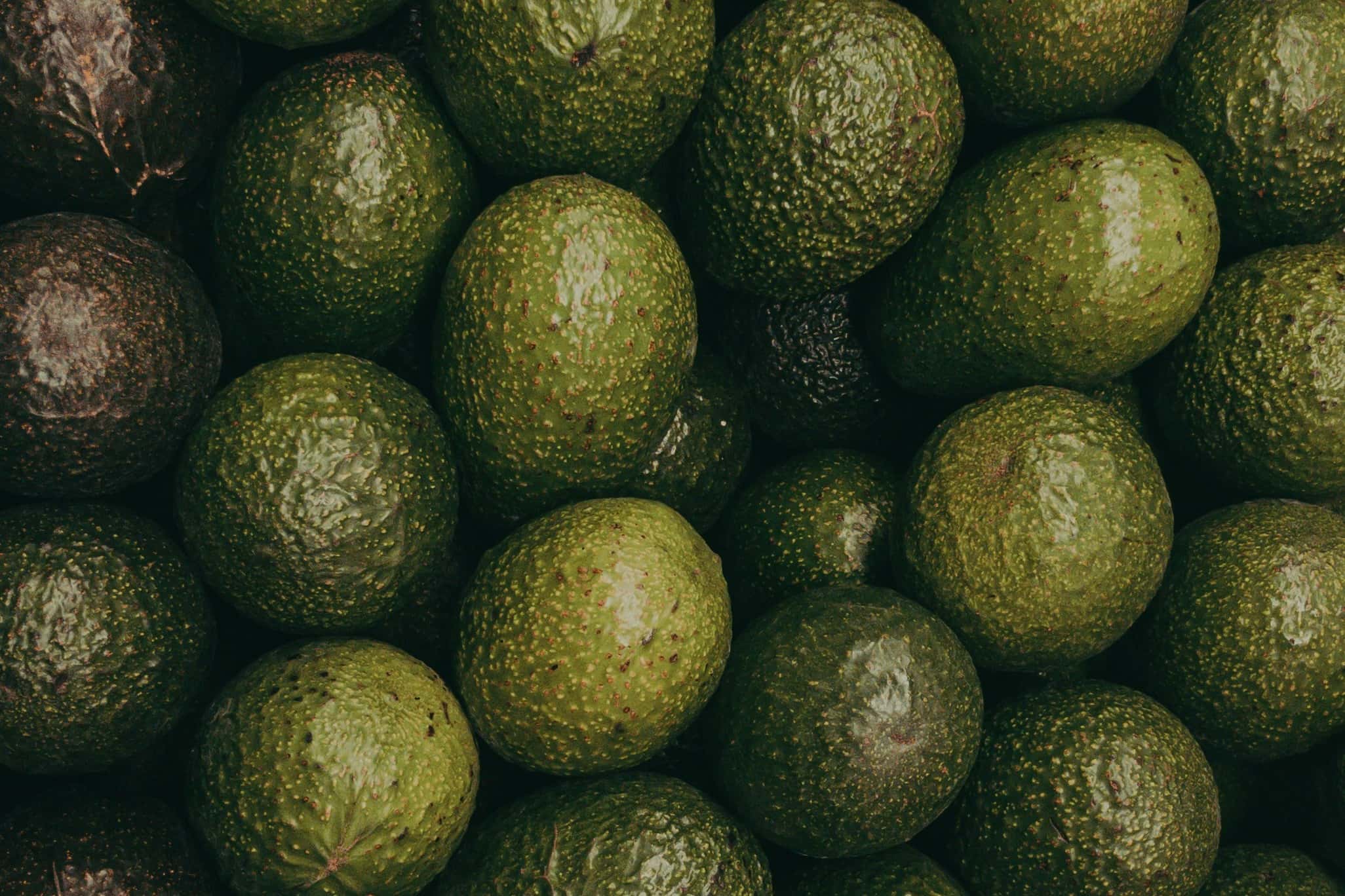 Closeup of a pile of avocados