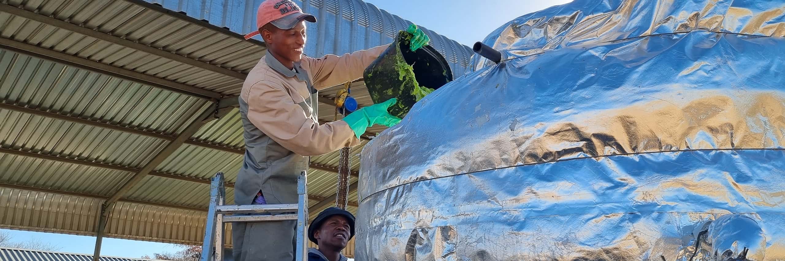 a person holding a bucket, scooping sargassum into a biodigester