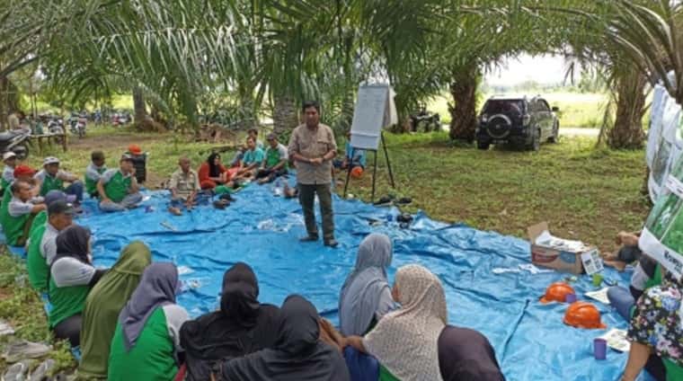 Good agricultural practices training to SHFs in Aceh, Indonesia. Source: IDH