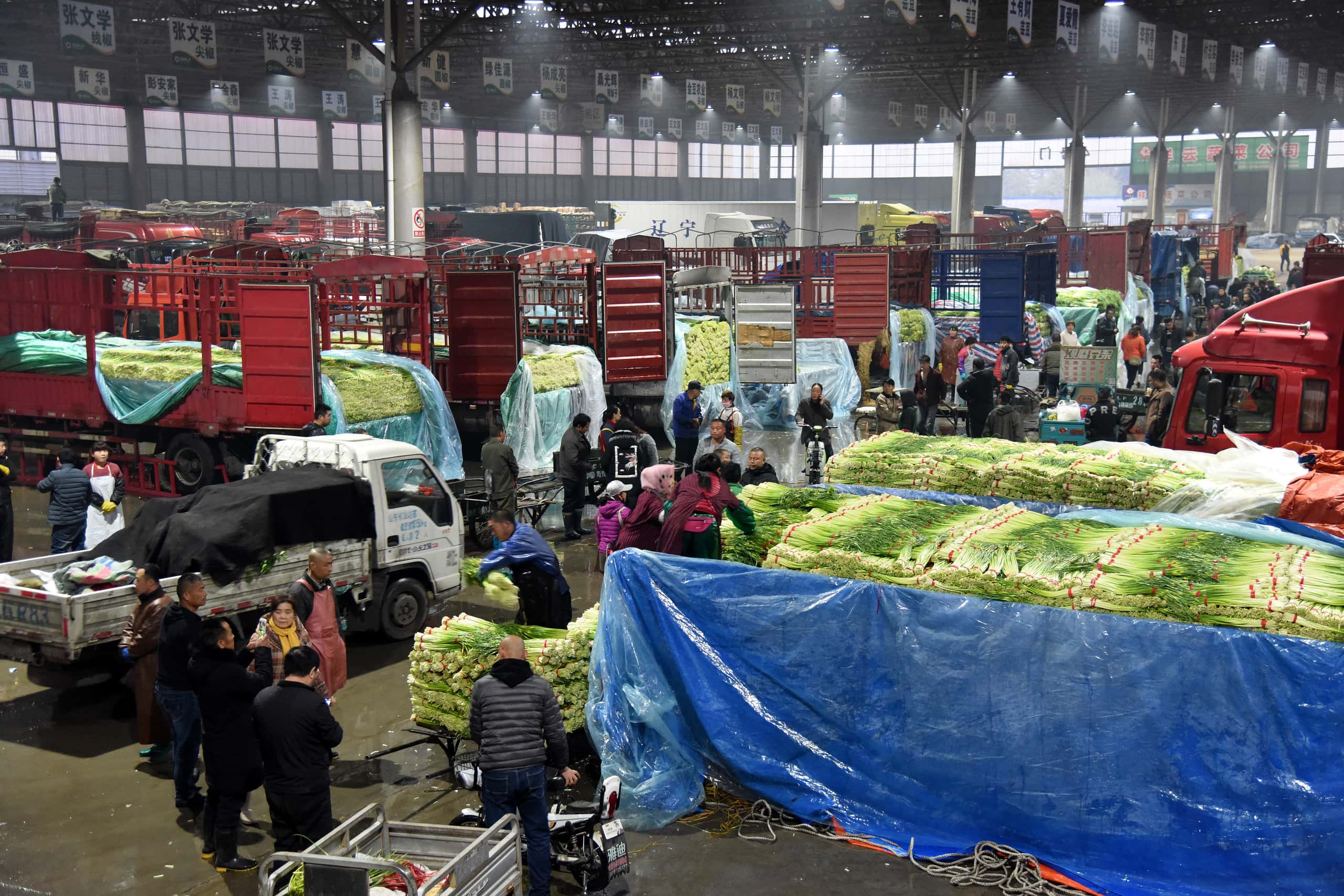 Trucks being filled with fresh vegetables