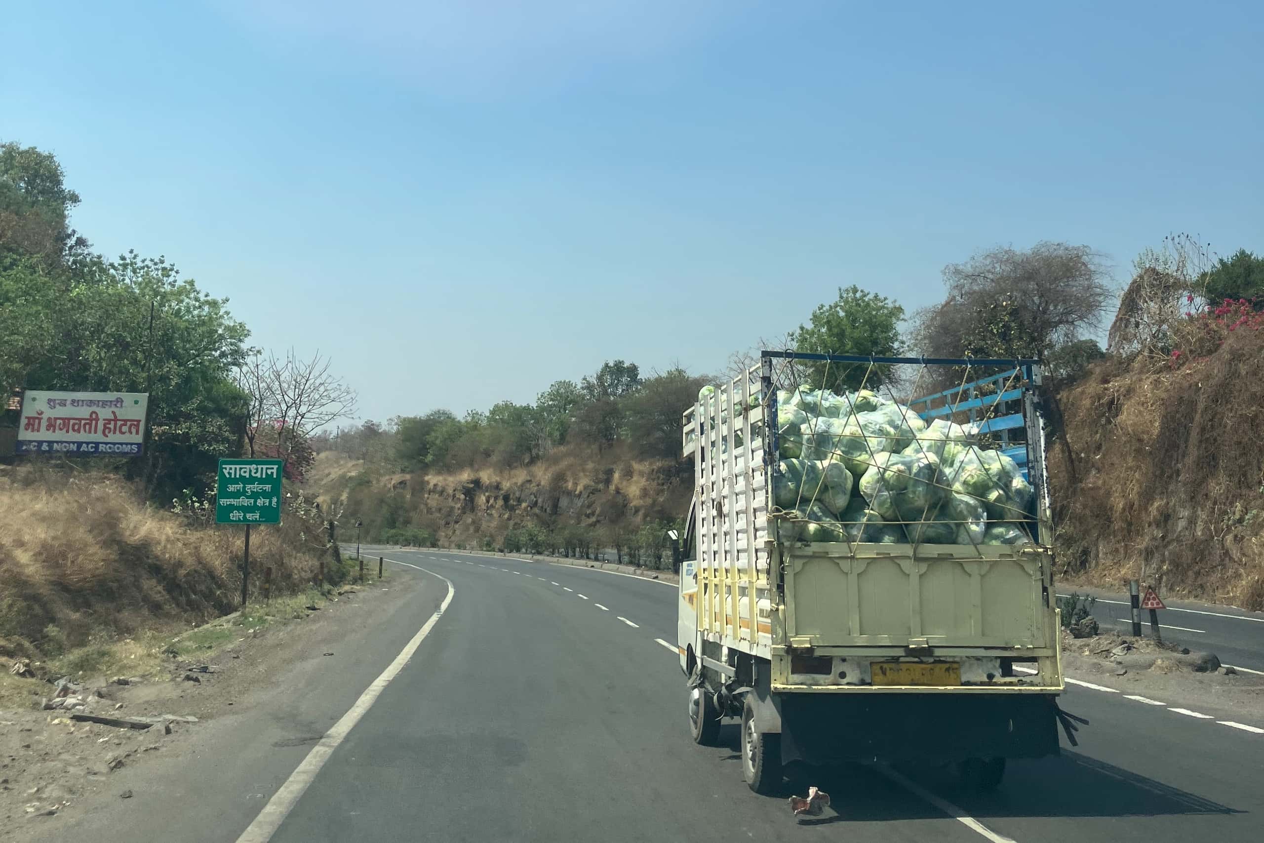 Long road to deal with food losses