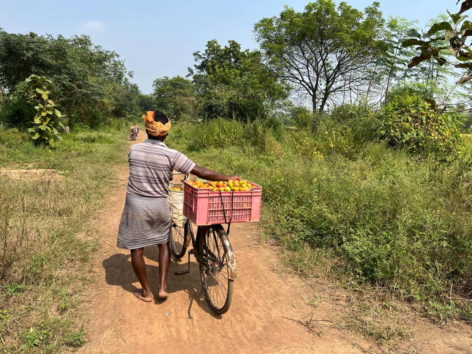 Food loss measurements in India