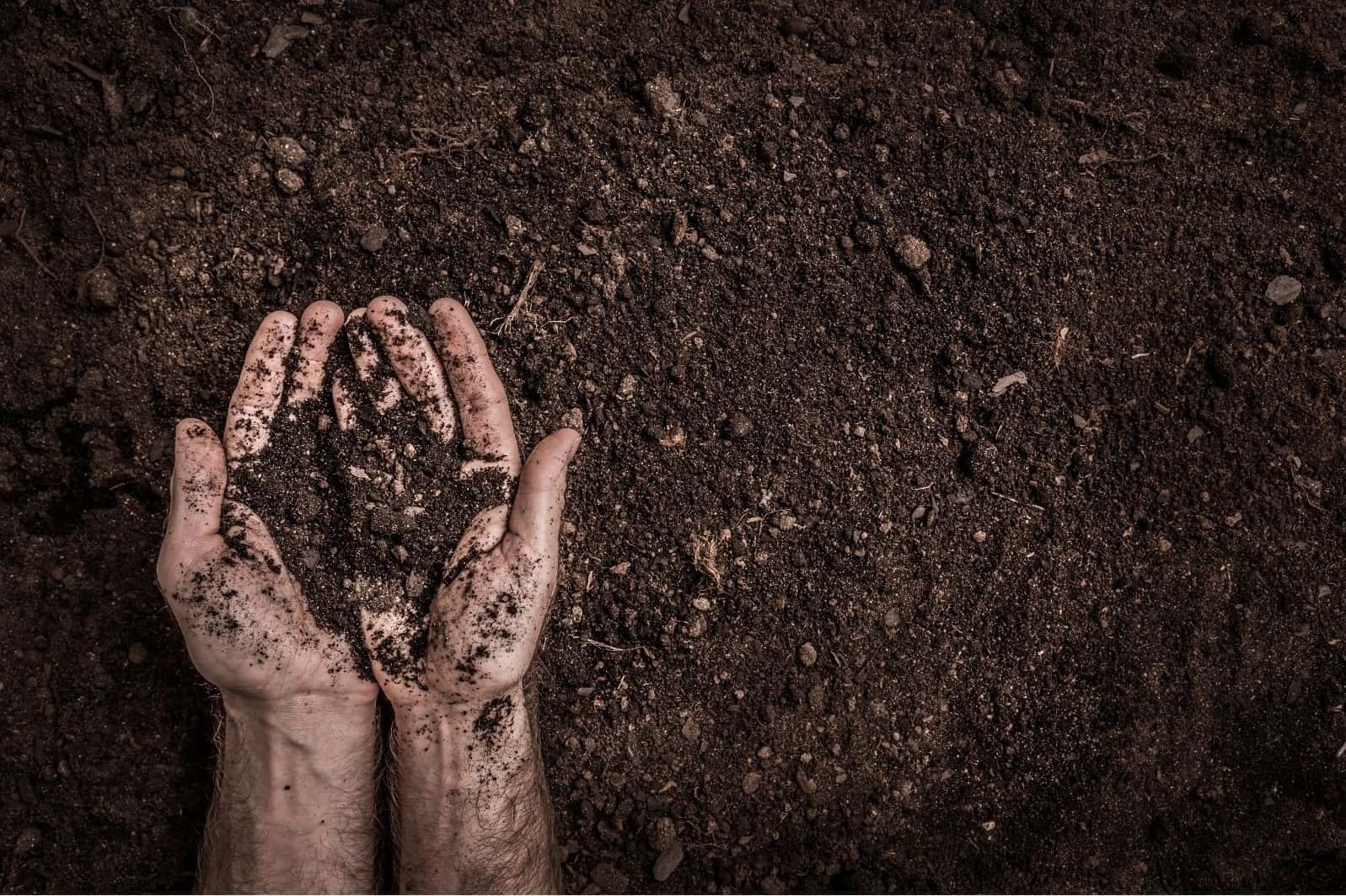 two hands holding soil from a pile