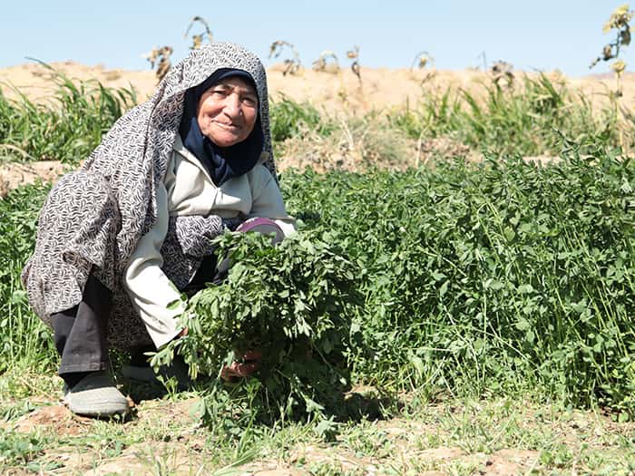 woman next to bushes
