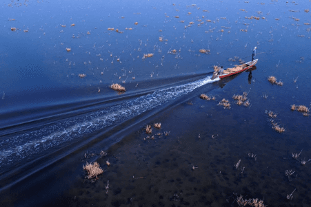 Iraqi marshland ecosystem with boat
