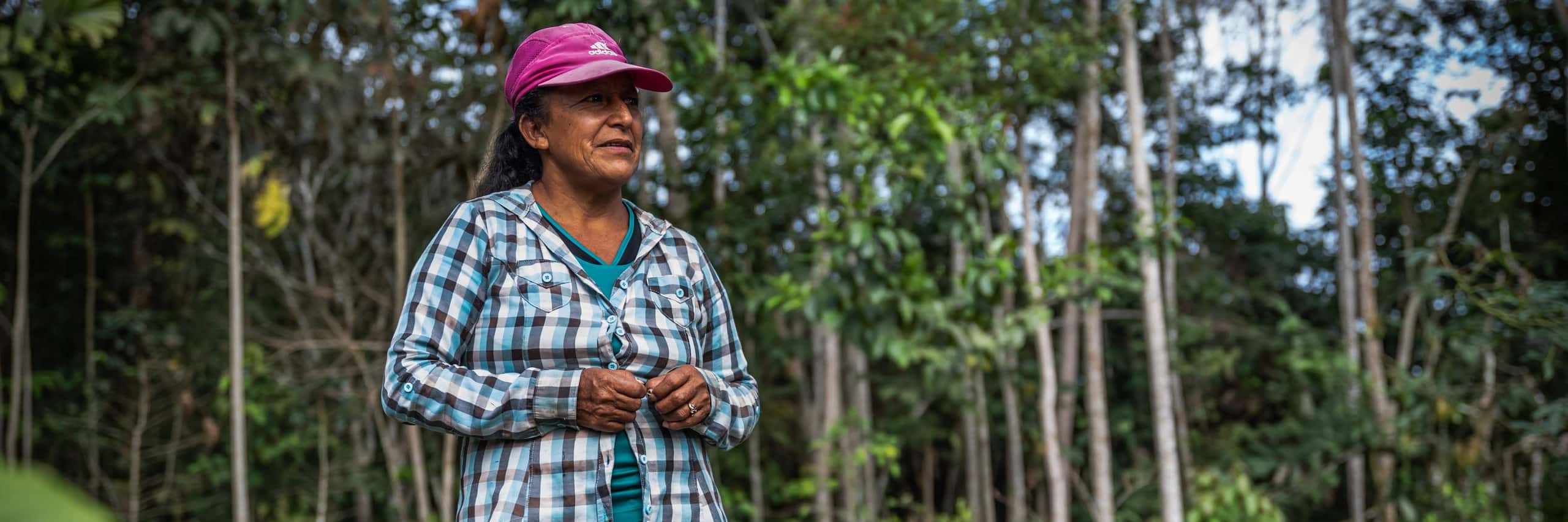 person standing next to a coffee plant