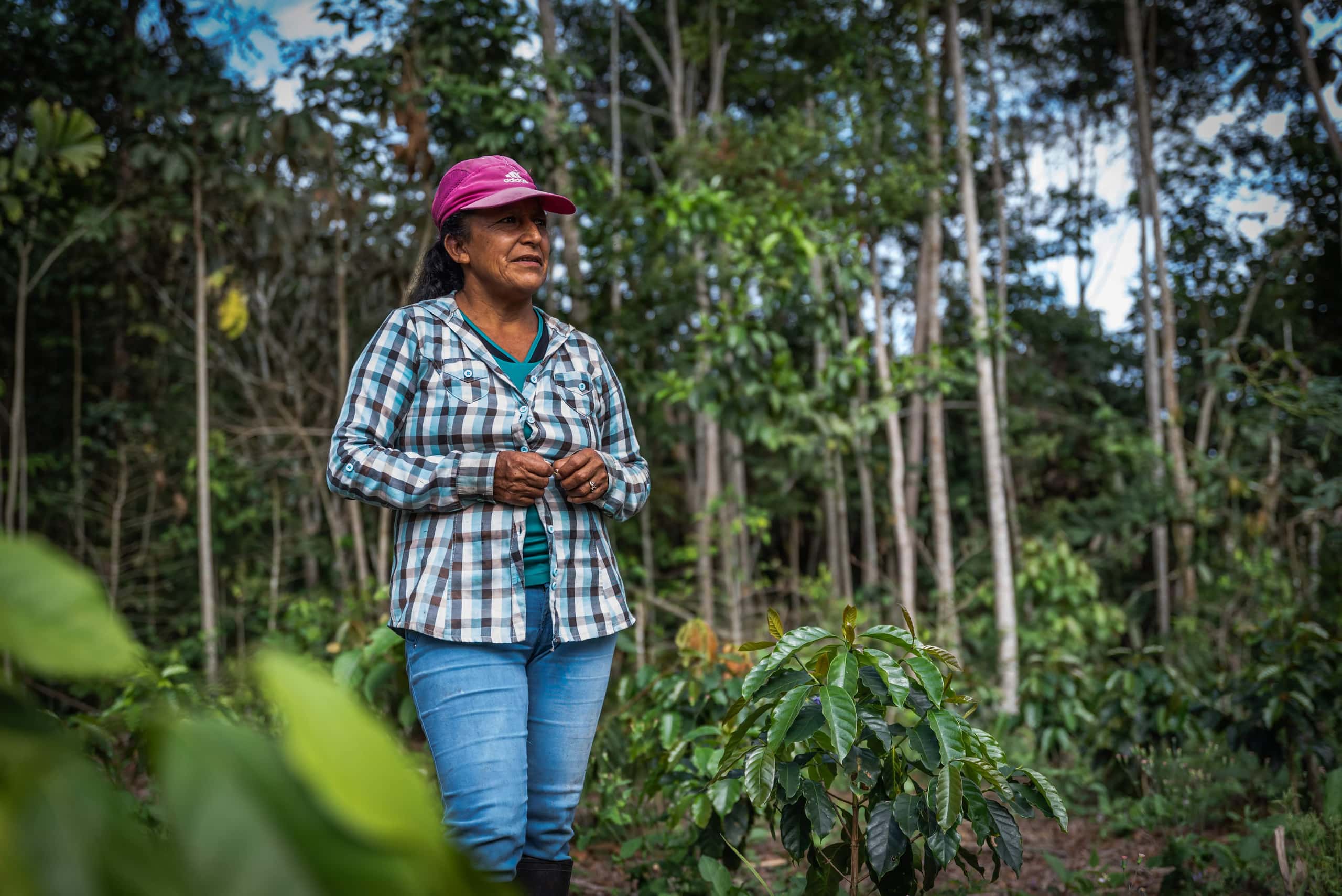 person standing next to a coffee plant