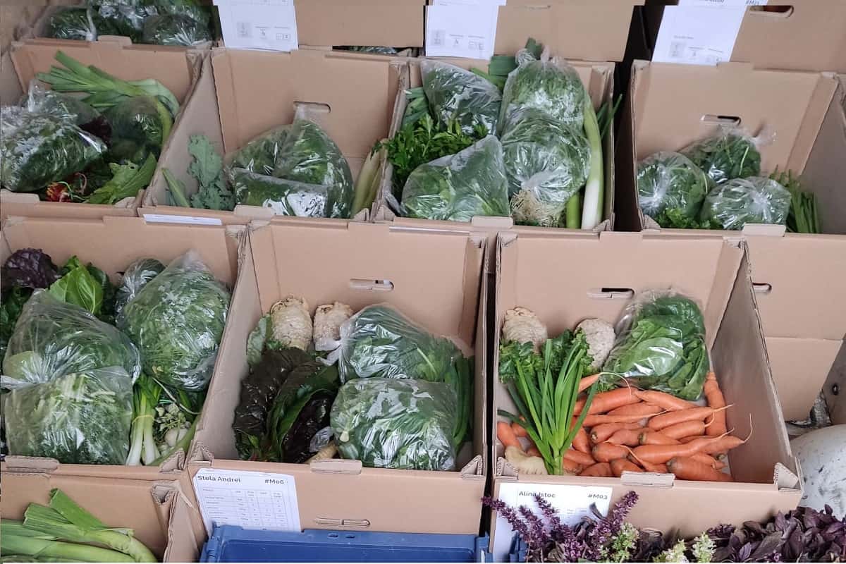 products getting prepared for delivery