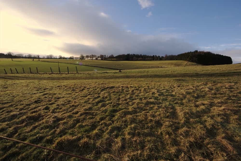 Landscape of agricultural field