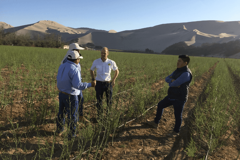 Peope standing in field