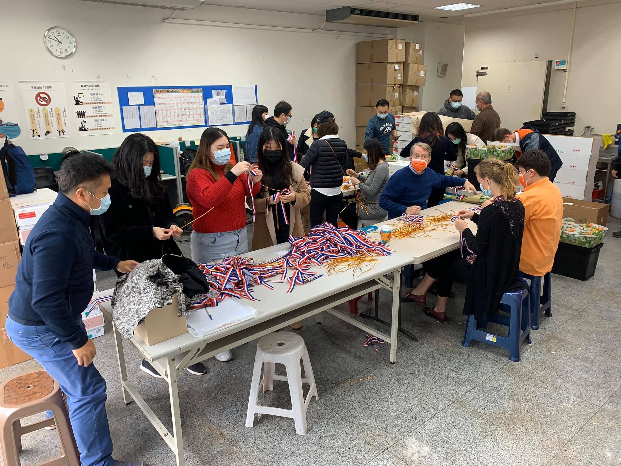 Tulip donation preparation