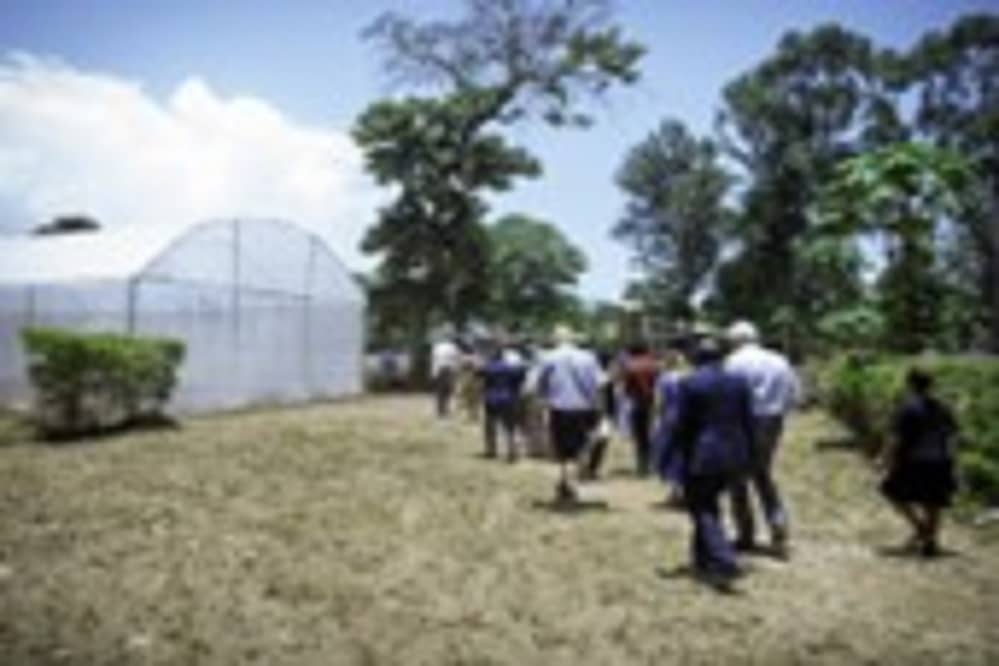 TVET institution horticulture 3