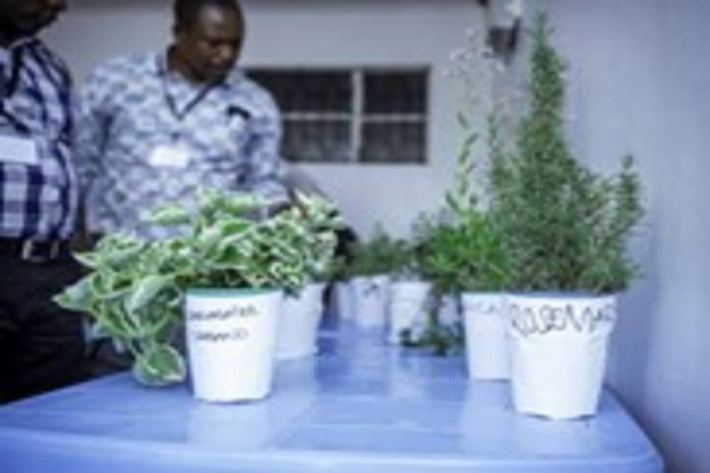 TVET institution horticulture 8