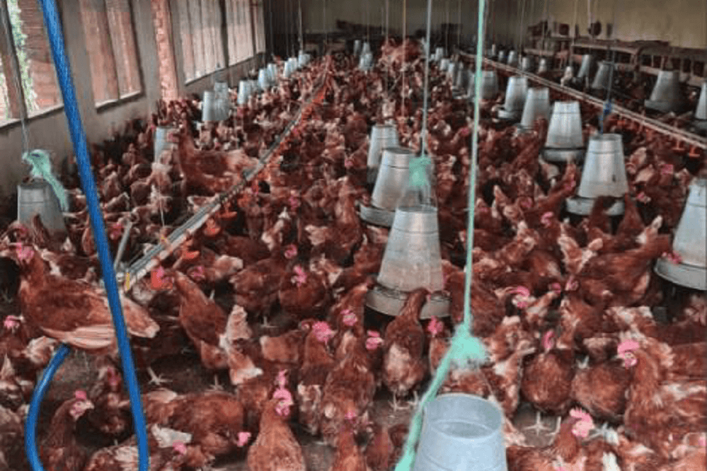 Aeres - field visit image 7