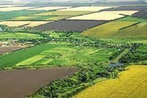 Good agricultural practices