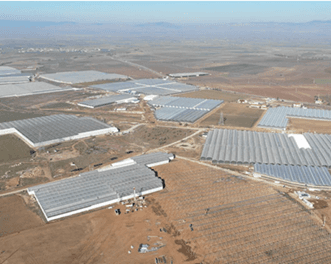 greenhouses Afyonkarahisar1