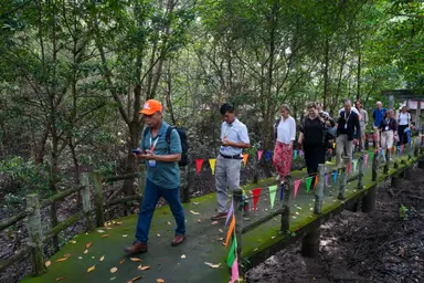source - https://www.agroberichtenbuitenland.nl/actueel/nieuws/2025/12/29/mangrove-conservation-in-vietnam-and-sustainable-aquaculture-thriving-together