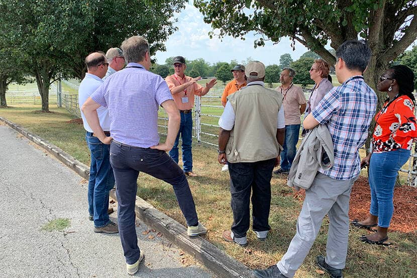 Bezoek aan Tennessee met een rondleiding op een rundveebedrijf.