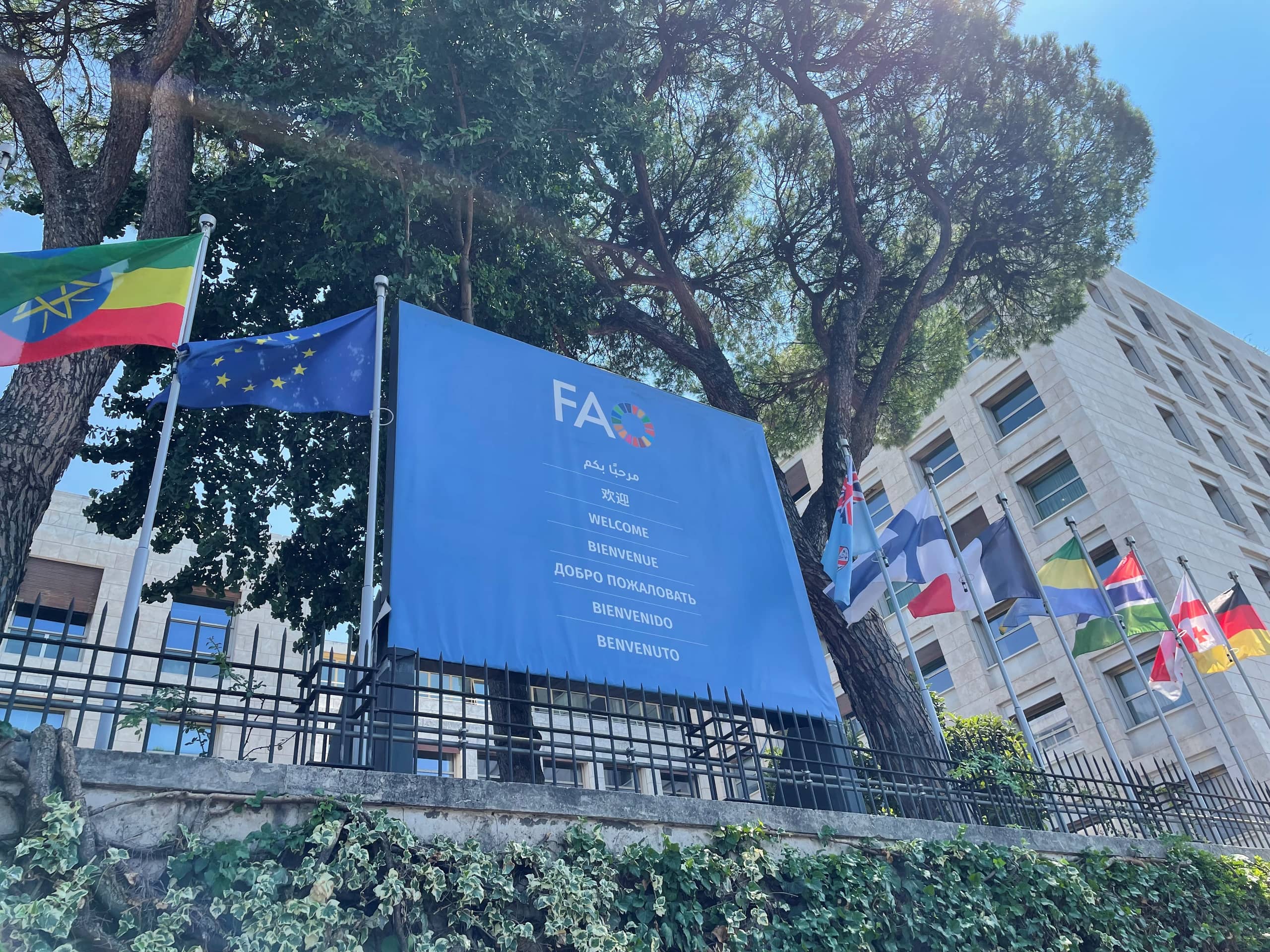 Fao Building Rome Making our food system future proof through multilateral cooperation at ...