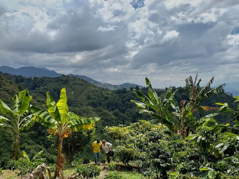 Huila province (Colombia)