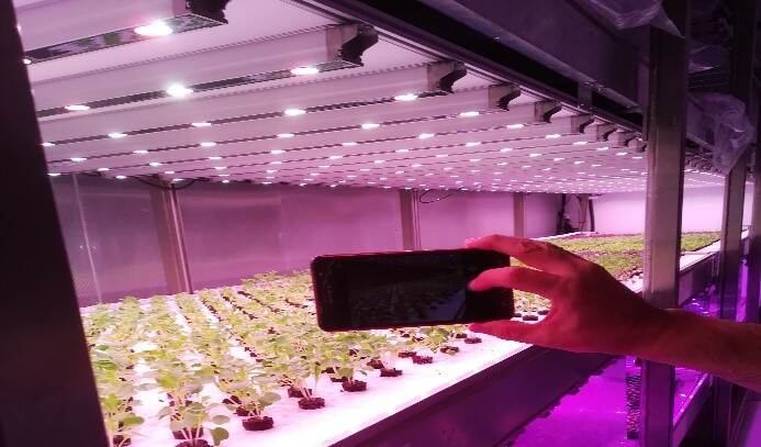 SignifyGrowWise Research Center, Eindhoven 29/08/2019