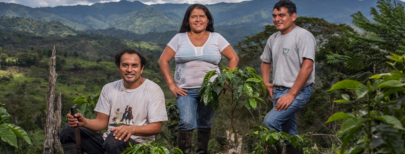 Duurzame koffieteelt Peru