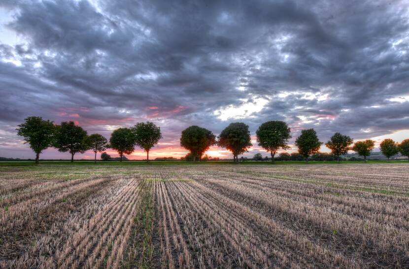 landbouwgronden in Vlaanderen bij avondzon