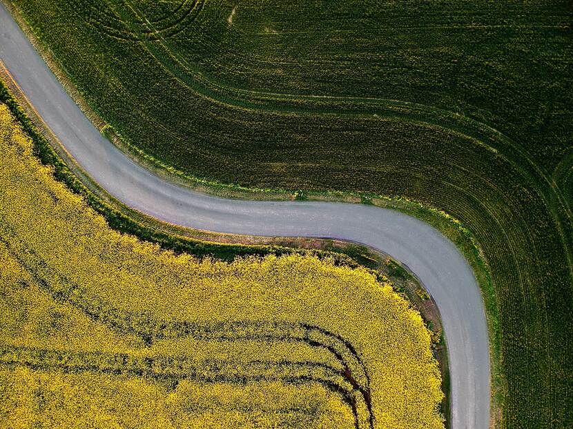 Luchtfoto van een bochtige weg met een geelkleurige akker onder en een groene akker boven