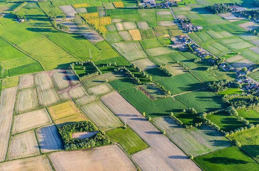 Luchtfoto van akkers en weilanden in Vlaanderen, met wat bomen en huizen er tussen