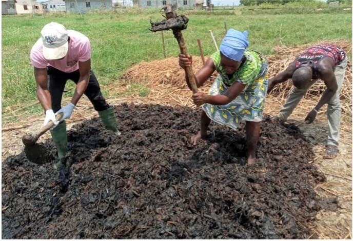 Agricultural residues in Benin