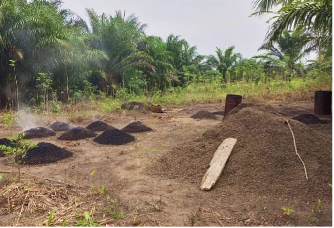 Agricultural residues in Benin