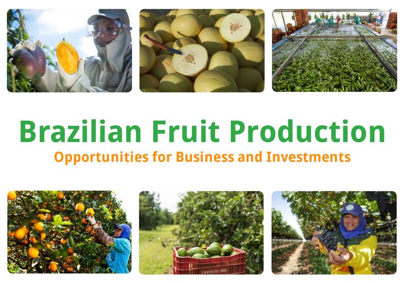 Brazilian Fruit Production