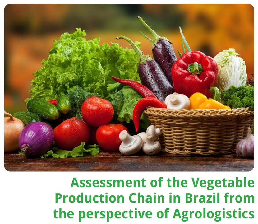 Brazilian Horticulture - Agrologistics
