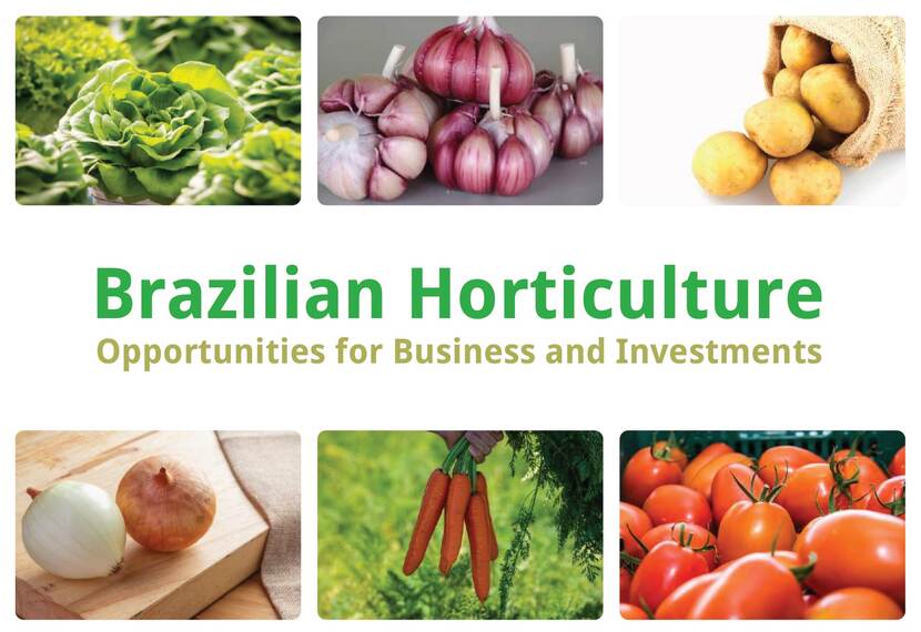 Brazilian Horticultura