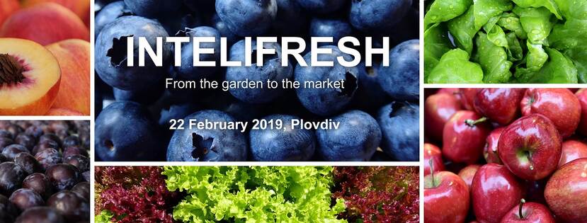 InteliFresh – from the garden to the stand