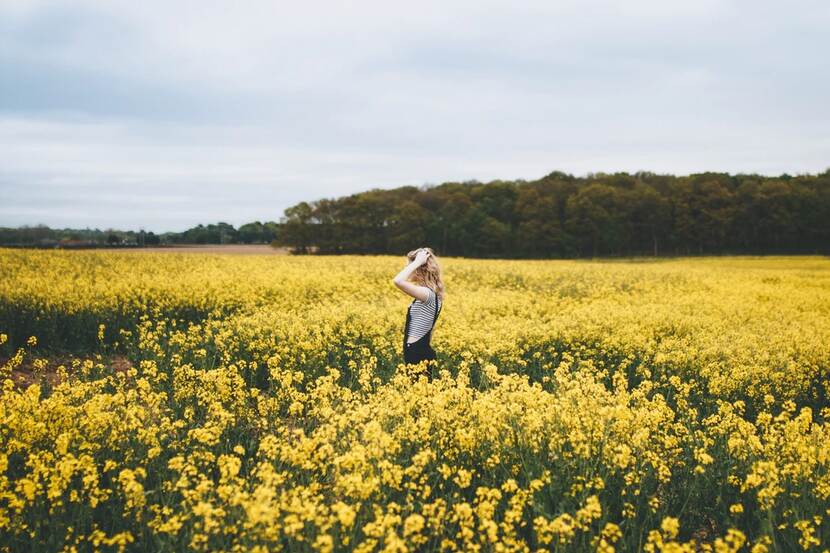 Rapeseed