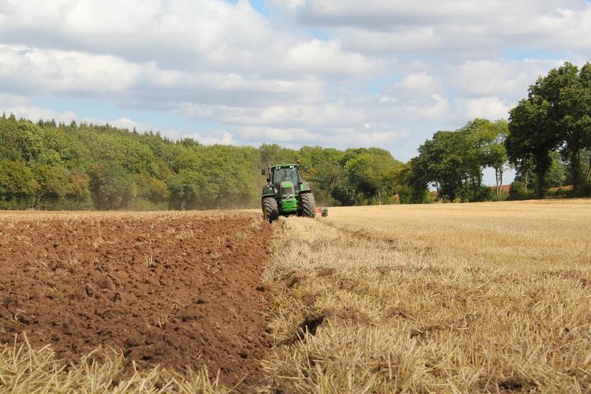 farming